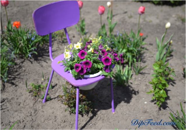recycled-chair-planter-dip-feed-10