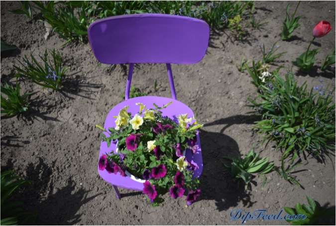 recycled-chair-planter-dip-feed-11