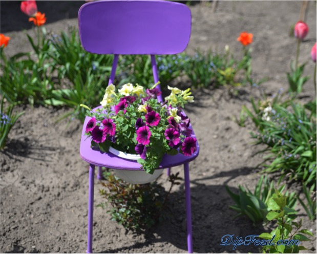 recycled-chair-planter-dip-feed-12