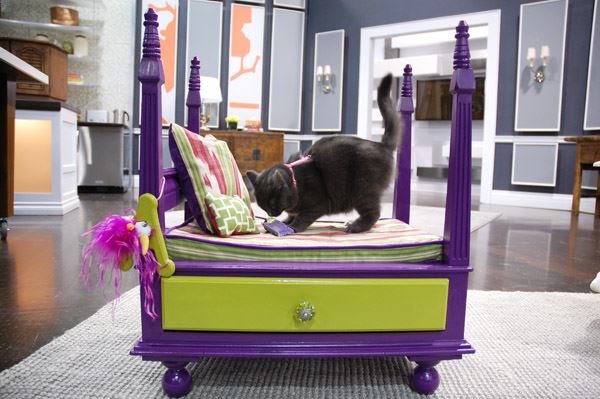 royal-pet-bed-from-old-table-dip-feed-2