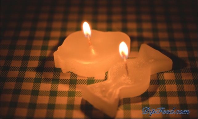 cookie-cutter-candles-dip-feed-9