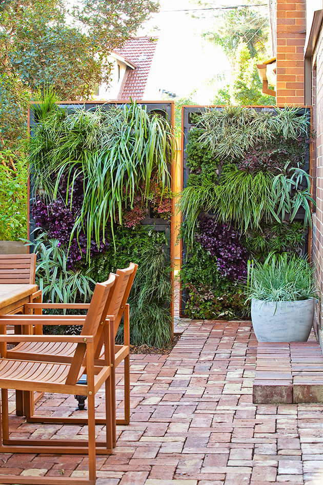 outdoor-privacy-ideas-dip-feed-1