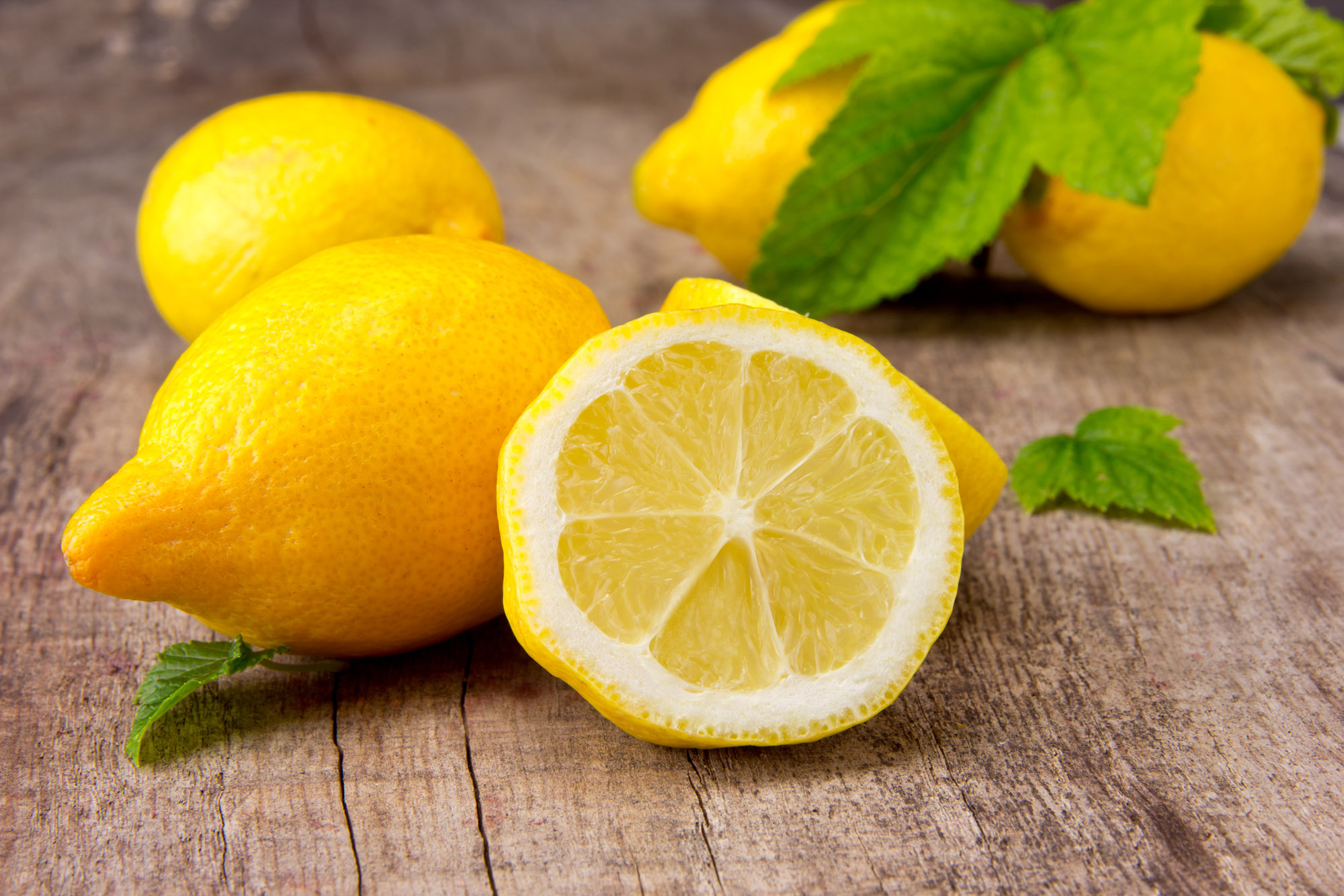 lemon-benefits-dip-feed-4