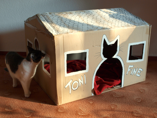 diy-homemade-cat-toys-dip-feed-6