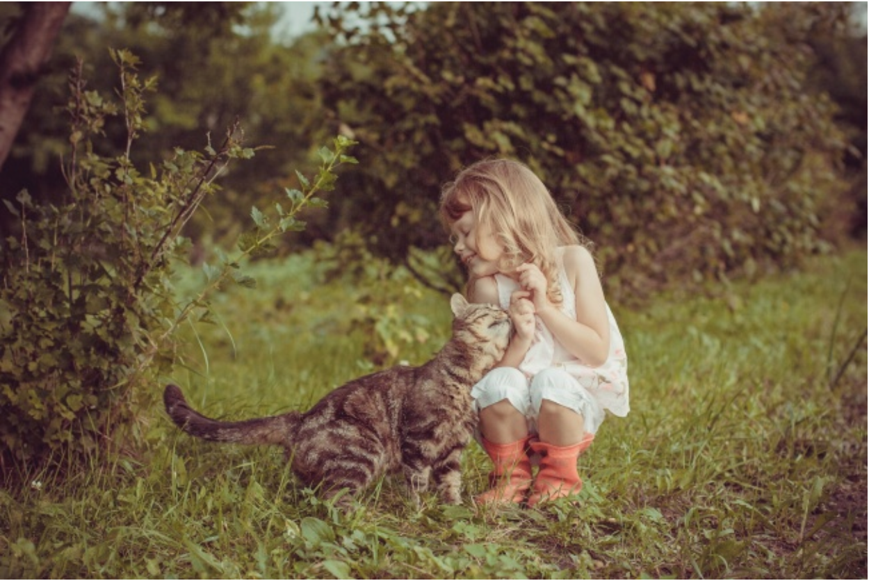 pictures-with-cats-and-children-dip-feed-1