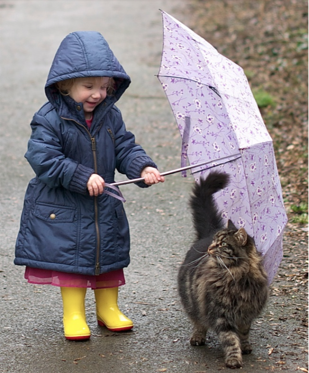 pictures-with-cats-and-children-dip-feed-12
