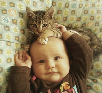 pictures-with-cats-and-children-dip-feed-11