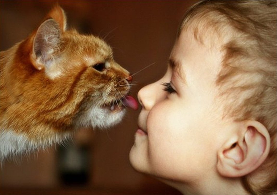 pictures-with-cats-and-children-dip-feed-9